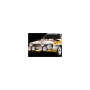 The Rally Legendes Audi Quattro 1985 1:10 RTR