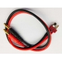 Cavo carica Deans 30cm 14AWG maschio