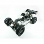 S-Workz APOLLO 1/8 4WD Off-Road Nitro Power Buggy Pro RTR 2022