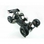 S-Workz APOLLO 1/8 4WD Off-Road Nitro Power Buggy Pro RTR 2022