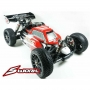 S-Workz APOLLO 1/8 4WD Off-Road Nitro Power Buggy Pro RTR 2022