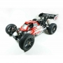 S-Workz APOLLO 1/8 4WD Off-Road Nitro Power Buggy Pro RTR 2022