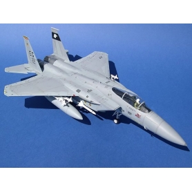 Tamiya 61029 McDonnell Douglas F-15C Eagle