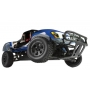 EVO PRO SHORT COURSE 1/10 RTR BRUSHLESS