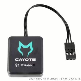 CAYOTE B-Tune Bluetooth module