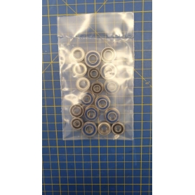 Kit Cuscinetti per 1/8 Buggy Asso