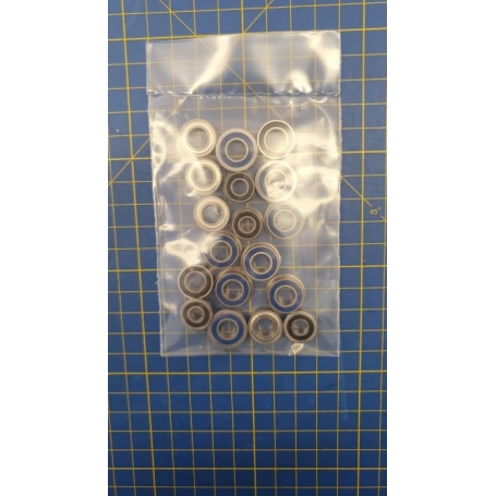 Kit Cuscinetti per 1/8 Buggy Asso