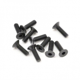 SWorkz Viti M3x10mm FH/ST in acciaio (10)