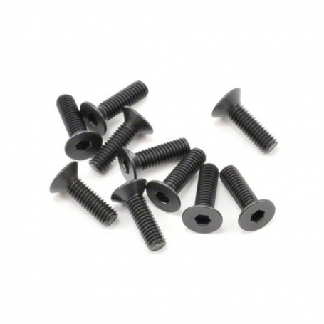 SWorkz Viti M3x10mm FH/ST in acciaio (10)