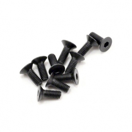 SWORKz FH/ST Screw M3x8mm (10)