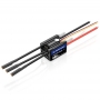 Hobbywing Seaking 60A Boat ESC V4 2-3s LiPo