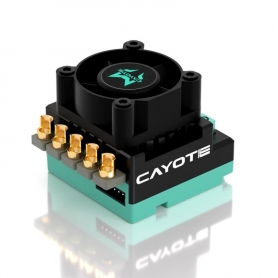 CAYOTE Crest RS60A 2s LiPo 1/10 TC - Off-Road