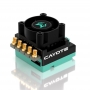 CAYOTE Crest RS60A 2s LiPo 1/10 TC - Off-Road