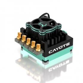 CAYOTE Crest RS120A 2s LiPo 1/10 TC - Off-Road