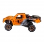 TRAXXAS Unlimited Desert racer “FOX”