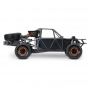 TRAXXAS Unlimited Desert racer “FOX”