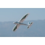 Easy Trainer 800mm v2 con radio Mode1 completo di tutto