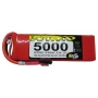 Lipo Xell-Sport 7,4V 5000MAH 2S 30C