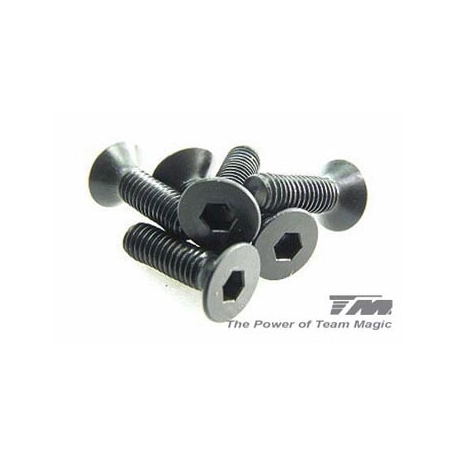 viti a brugola testa svasata 3x10mm (6)