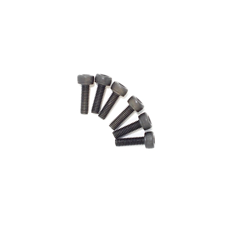 3x10mm cap screw (6)