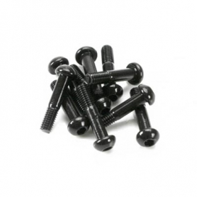 3x14mm button head screw (10)