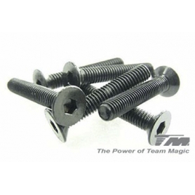 3x18mm steel fh screw (6)