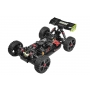 TEAM CORALLY RADIX 4 XP 4S 1/8 BUGGY 4WD RTR