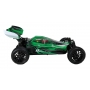 AUTOMODELLO EVO PRO BUGGY 1/10 RTR BRUSHLESS