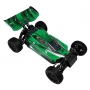 AUTOMODELLO EVO PRO BUGGY 1/10 RTR BRUSHLESS