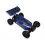 AUTOMODELLO EVO PRO BUGGY 1/10 RTR BRUSHLESS